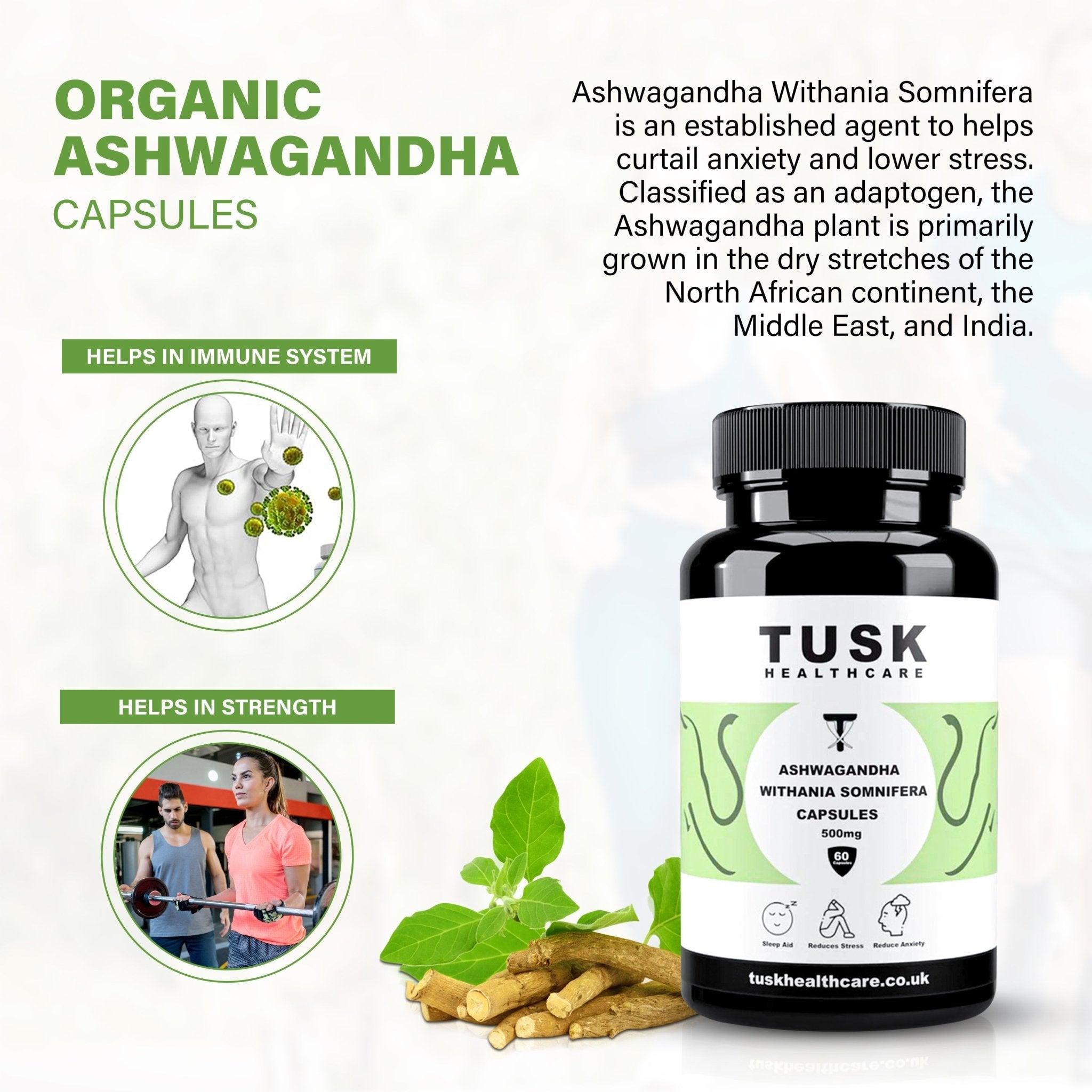 Ashwagandha Withania Somnifera Capsuals - Reduce Stress & Anxiety - TuskHealthCare