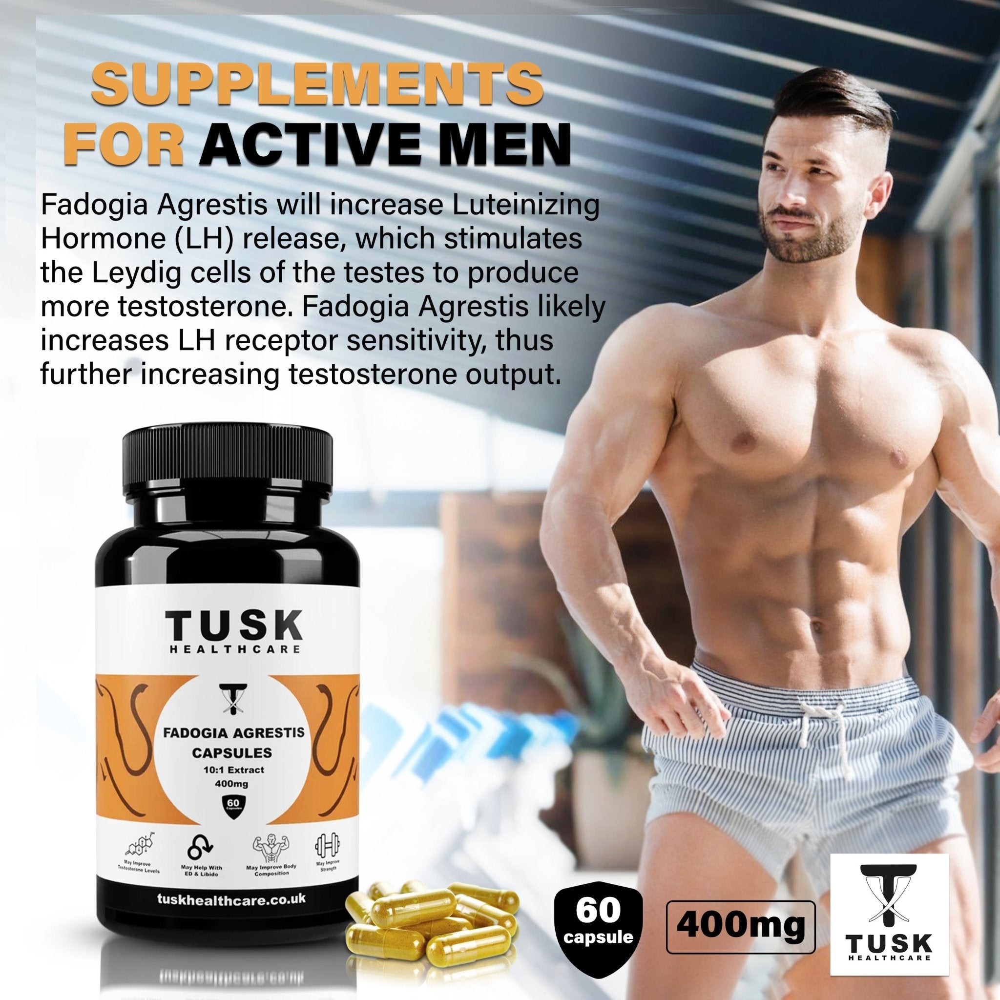 Fadogia Agrestis - Increase Testosterone & Sexual Performance - TuskHealthCare