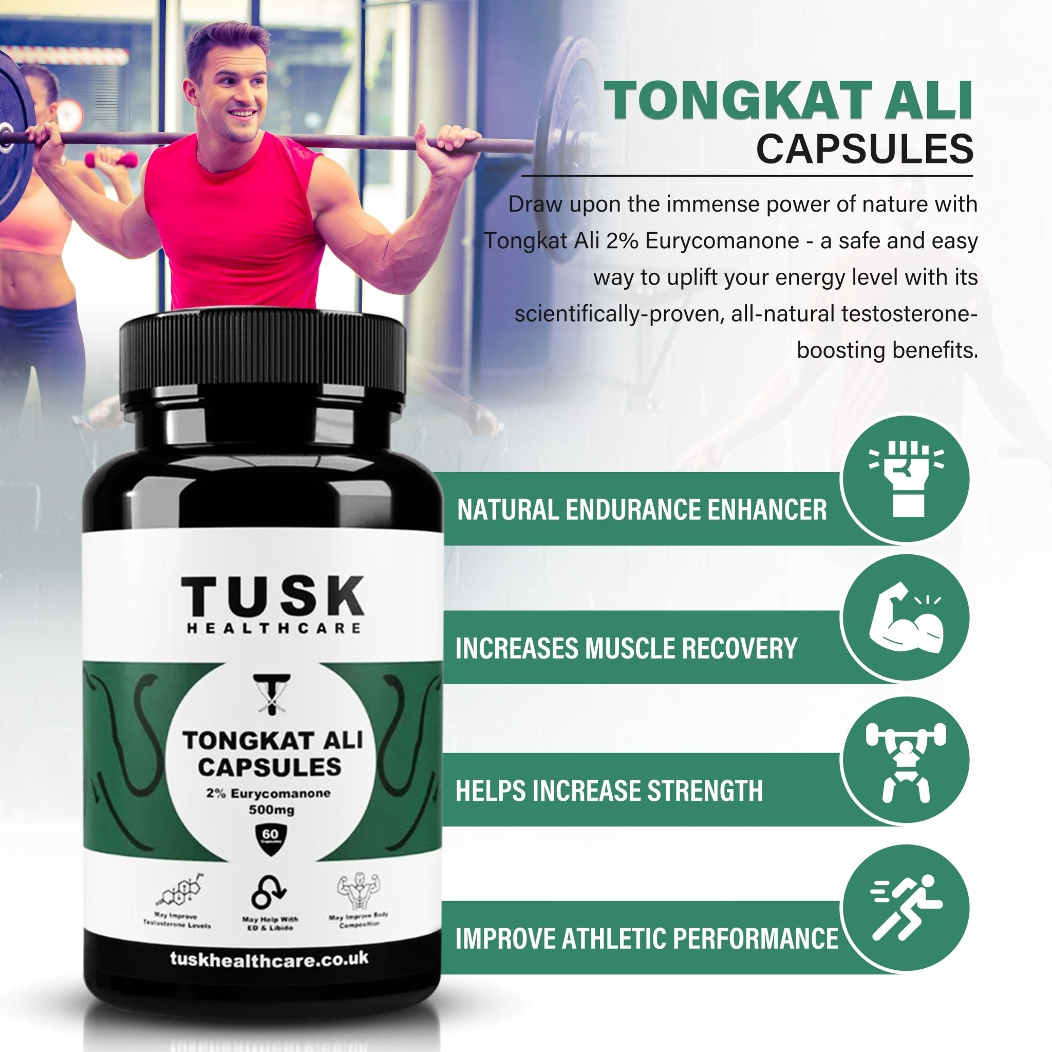 Natural Muscle Builder Bundle - Tongkat Ali, Fadogia & Turkesterone - TuskHealthCare