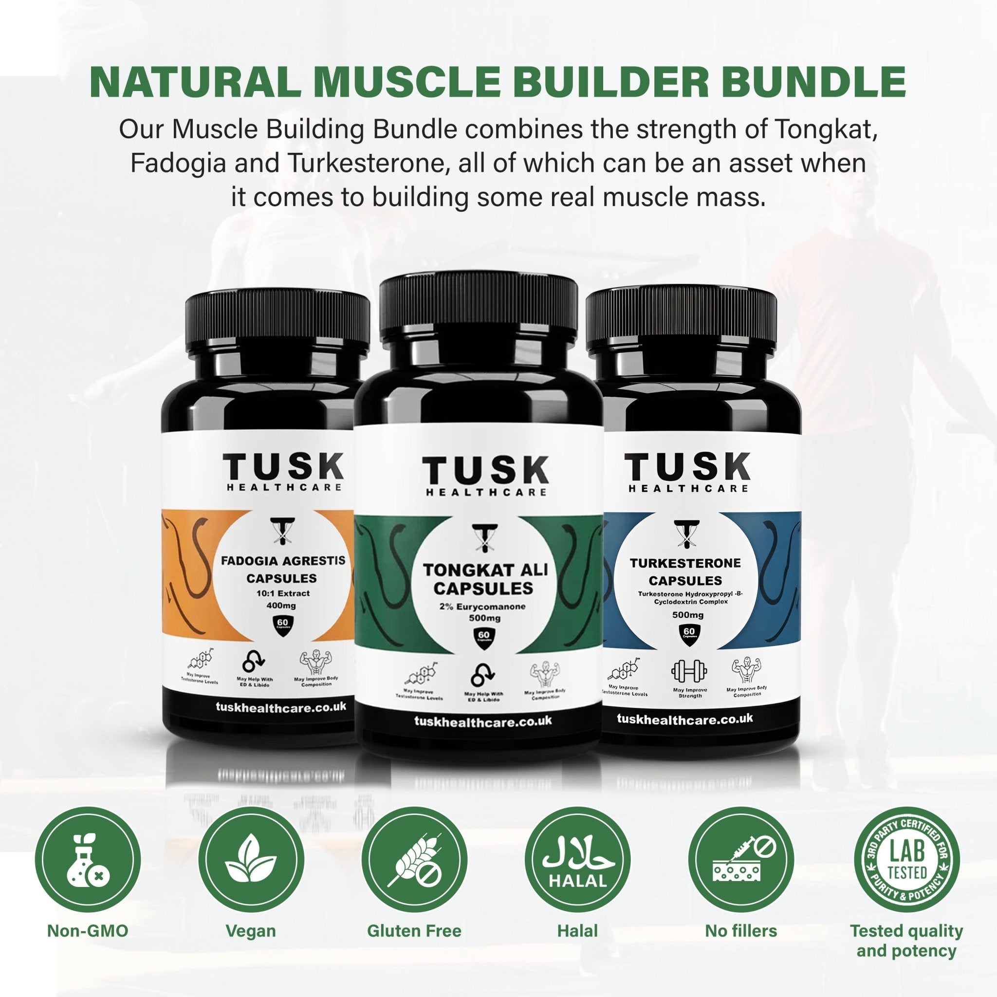 Natural Muscle Builder Bundle - Tongkat Ali, Fadogia & Turkesterone - TuskHealthCare