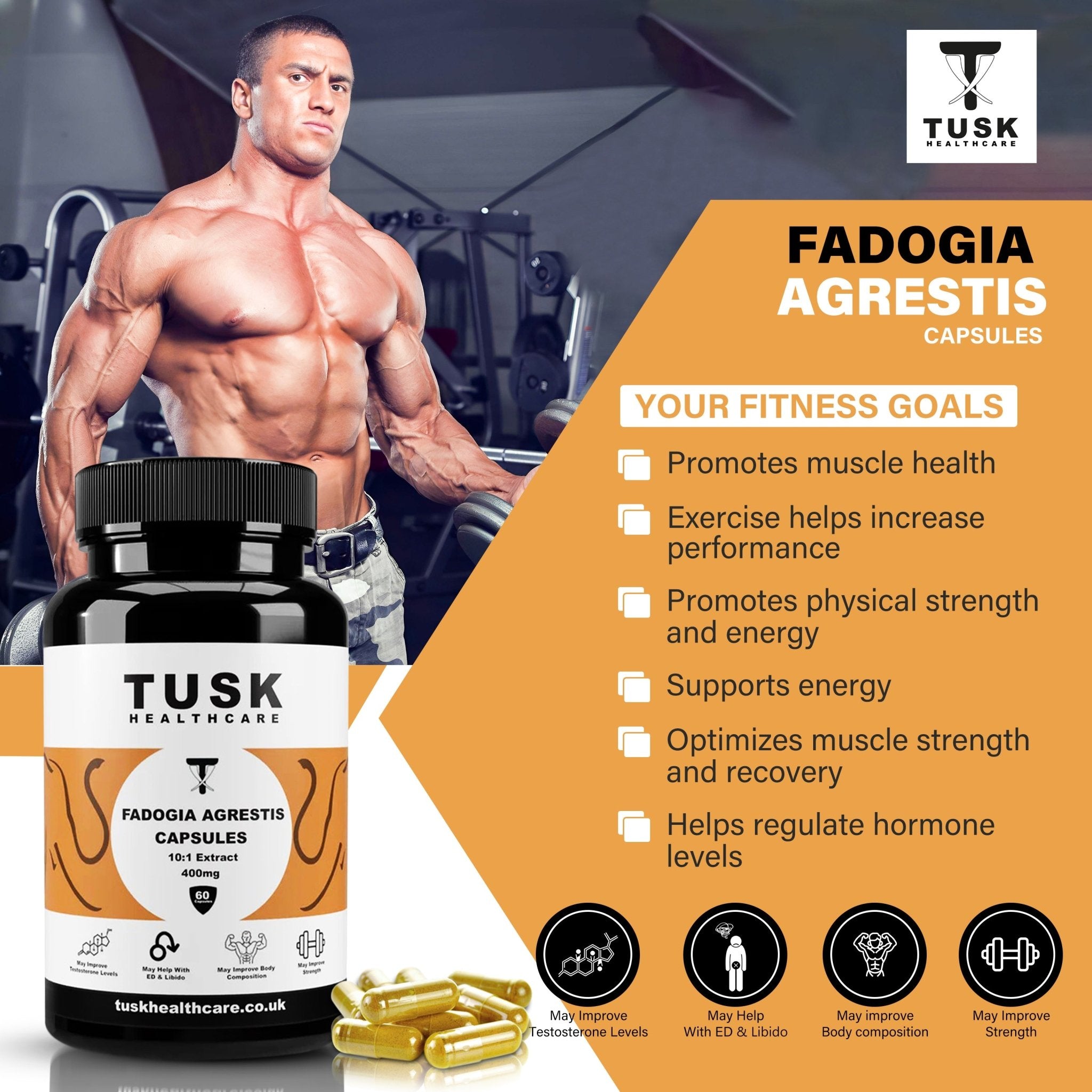 Natural Testosterone Booster Bundle - Tongkat Ali & Fadogia Agrestis - TuskHealthCare