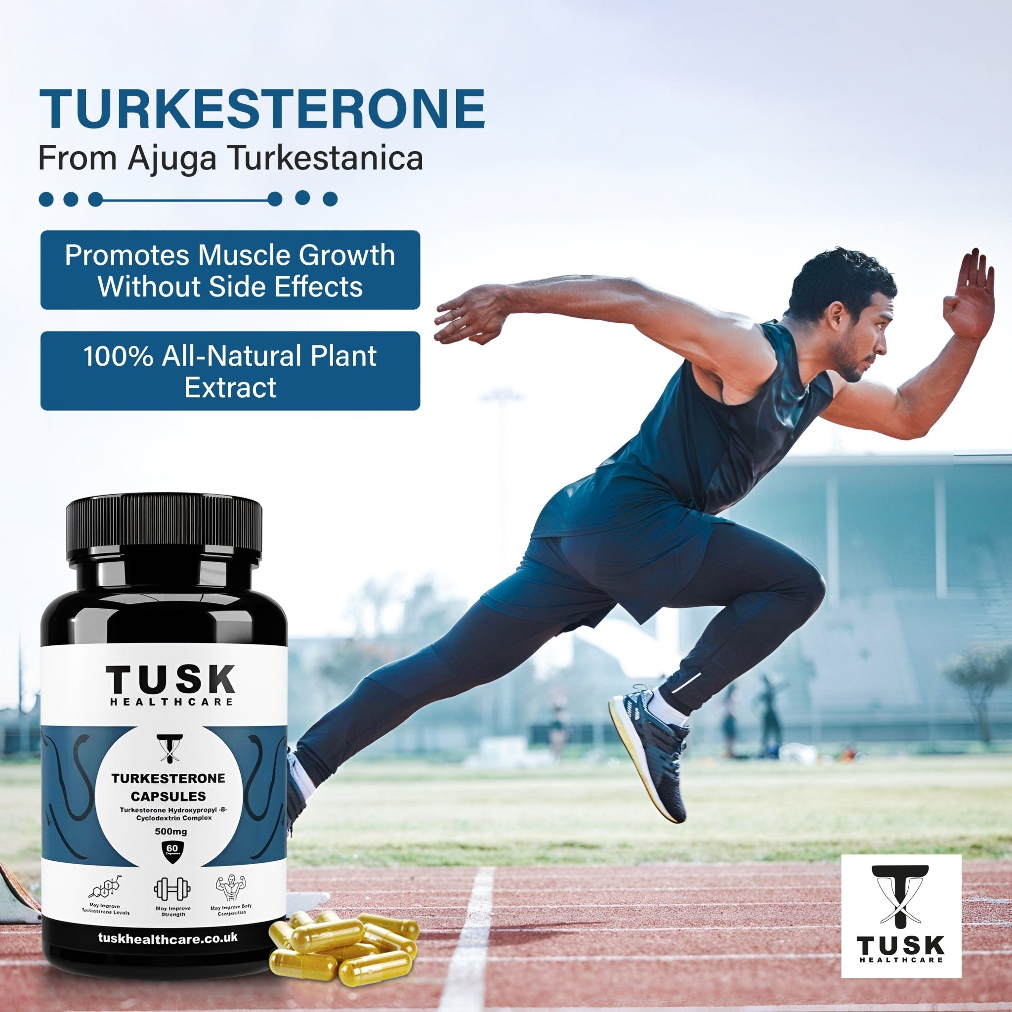 Turkesterone 10% Standardisation - Natural Steroid To Build Muscle & Gain Strength - TuskHealthCare