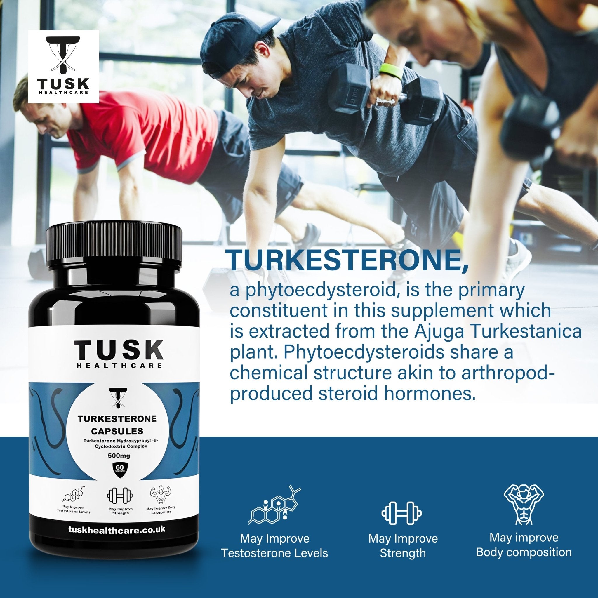 Turkesterone 10% Standardisation - Natural Steroid To Build Muscle & Gain Strength - TuskHealthCare