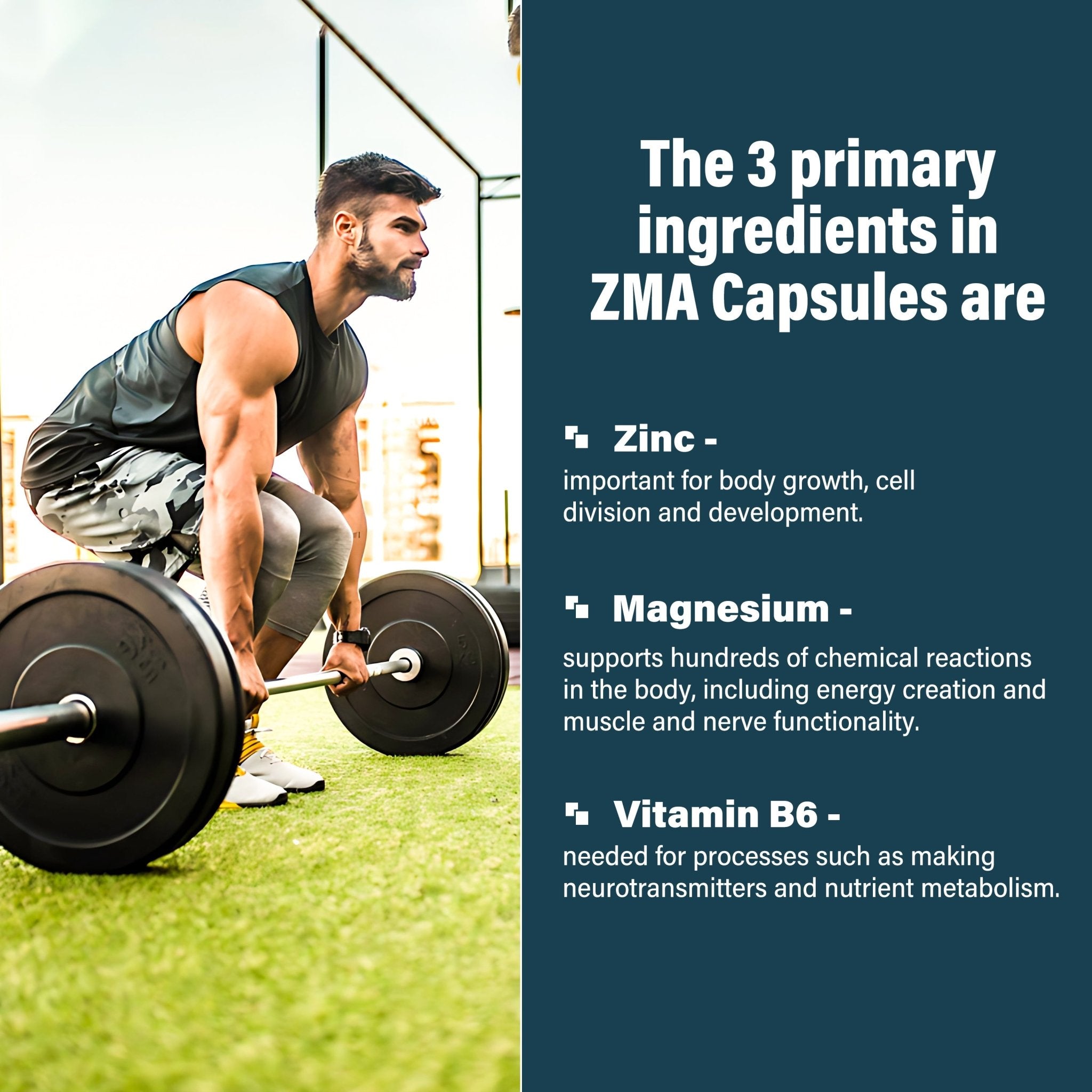 ZMA Capsules - Essential Nutrients For Testosterone Production & Proven To Improve Sleep Quality - TuskHealthCare